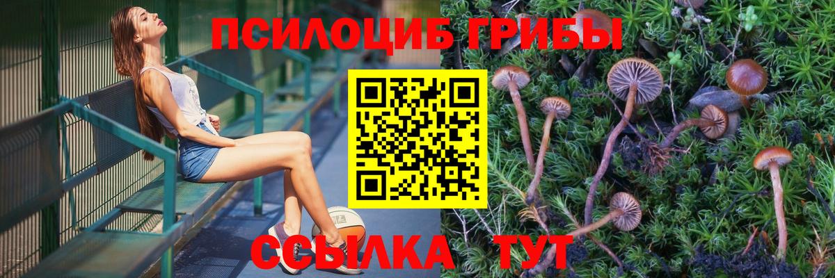 Псилоцибиновые грибы Cubensis Тулун