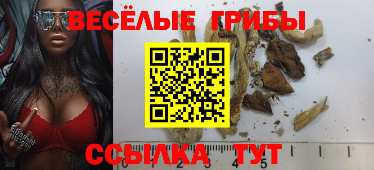 Псилоцибиновые грибы ЛСД  Вход с VPN  купить наркоту  Тулун 